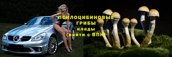 спайс Осинники