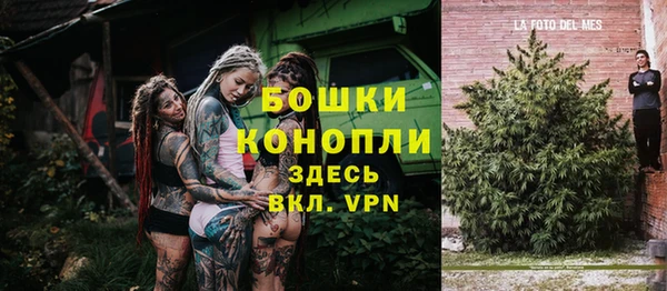 мяу мяу кристалл Переславль-Залесский