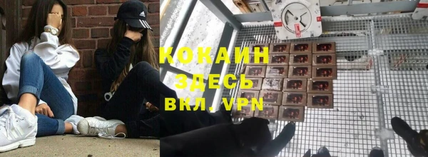 спайс Пестово